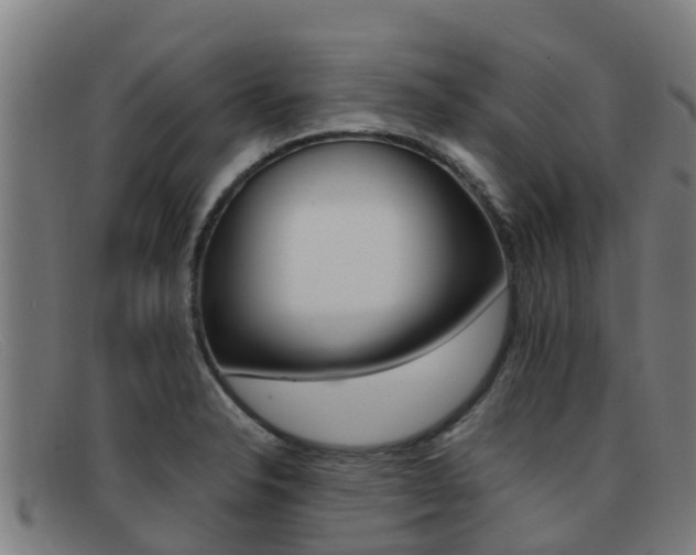 X0000092071326200709121018