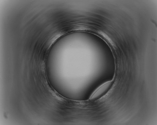 X0000092071329200709121018