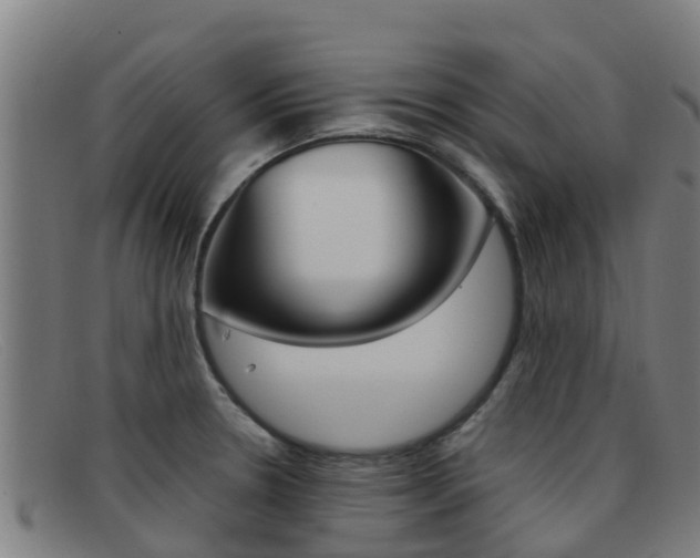 X0000092071330200709121018