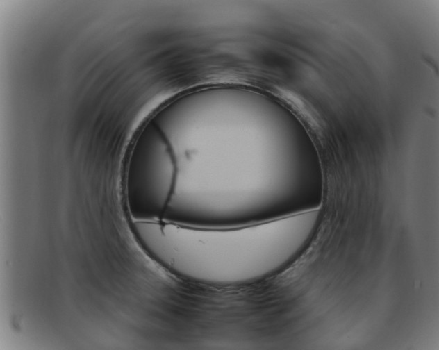 X0000092071331200709121018