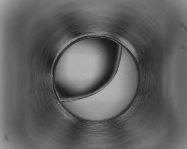 X0000092071332200709121018