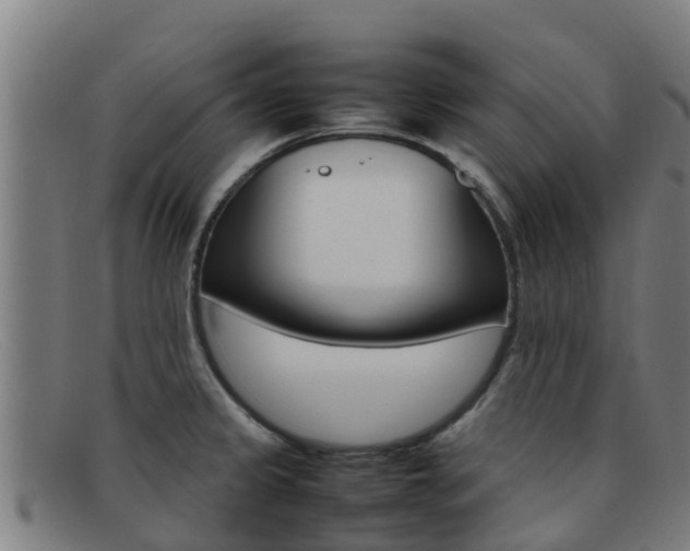 X0000092071333200709121018