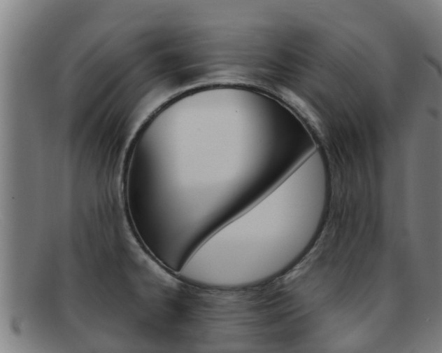 X0000092071334200709121018