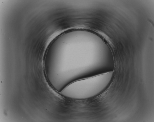 X0000092071335200709121018