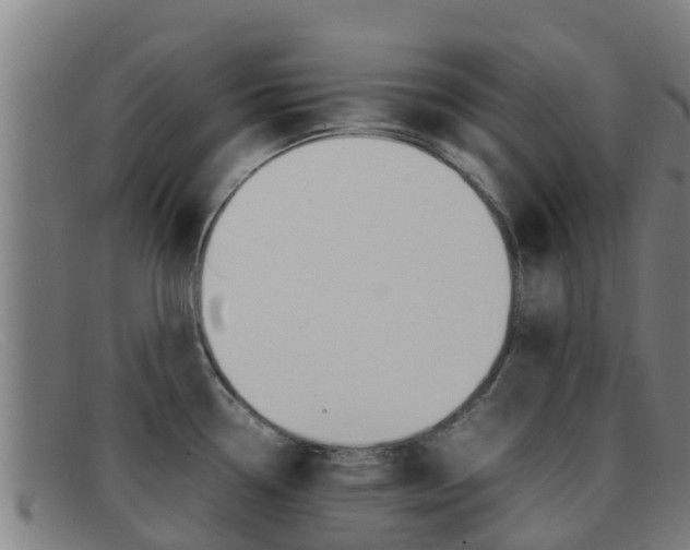 X0000092071338200709121018