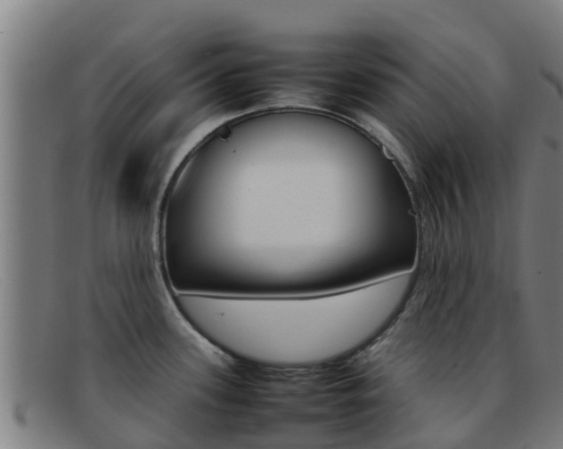 X0000092071339200709121018