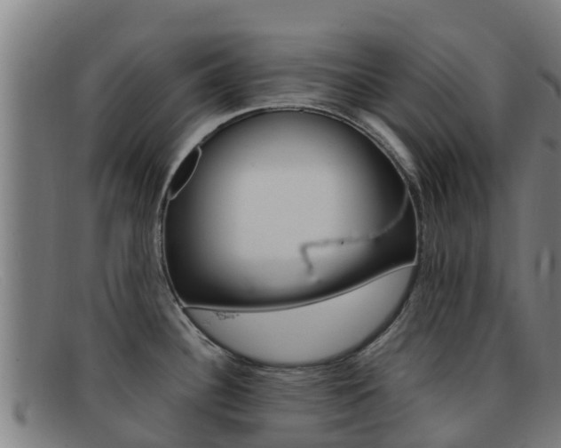 X0000092071340200709121018