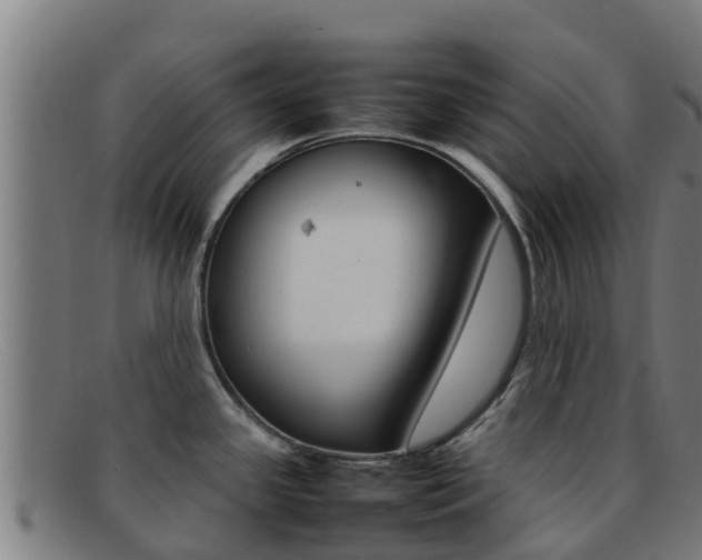 X0000092071341200709121018