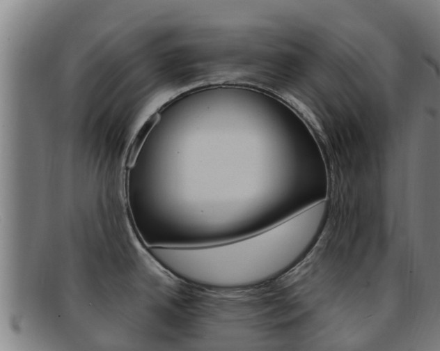 X0000092071342200709121018