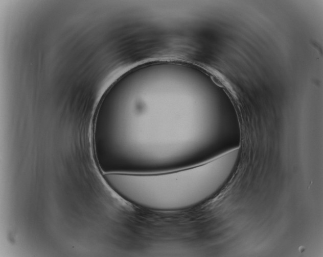 X0000092071343200709121018