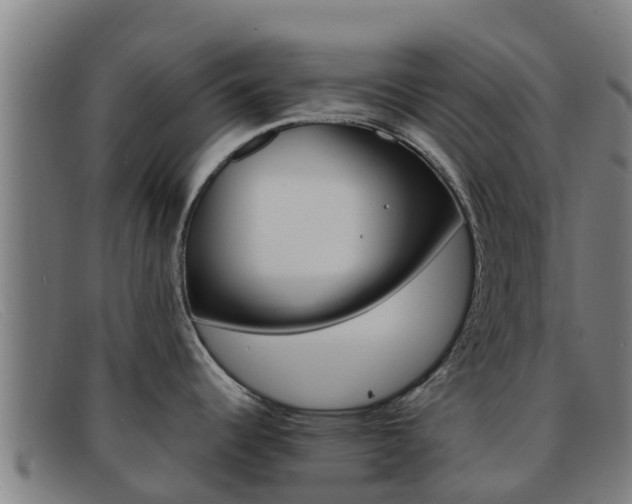X0000092071344200709121018