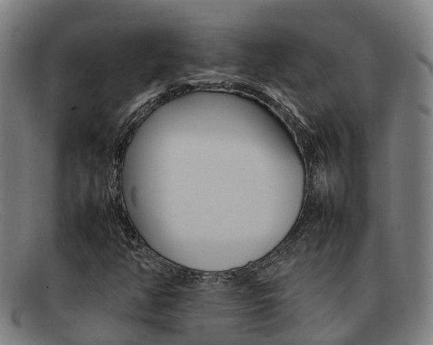 X0000092071350200709121018