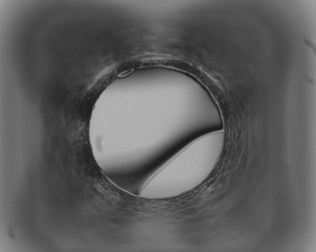 X0000092071351200709121018