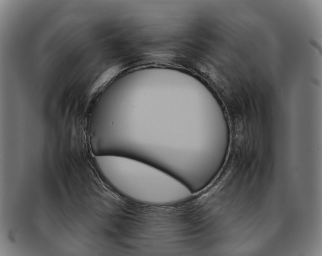 X0000092071354200709121018
