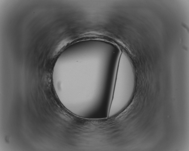 X0000092071355200709121018