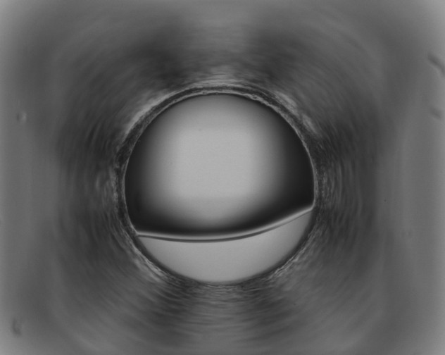 X0000092071356200709121018