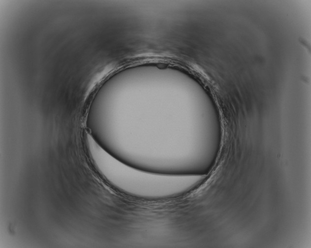 X0000092071357200709121018
