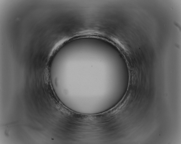 X0000092071358200709121018