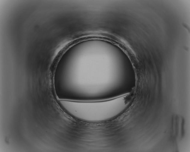 X0000092071360200709121017