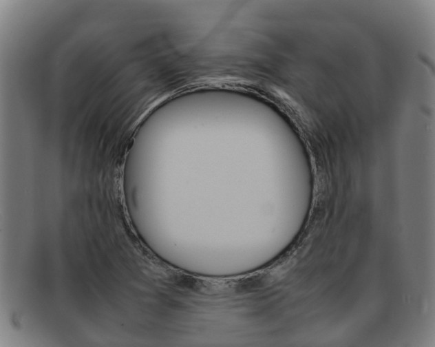 X0000092071361200709121017
