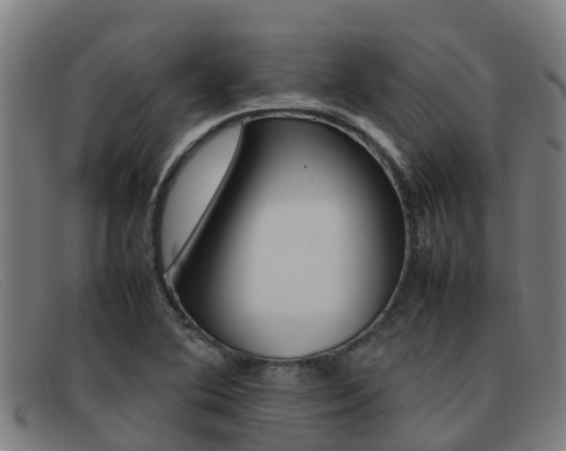 X0000092071364200709121017