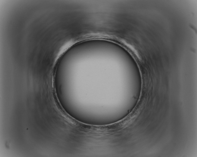 X0000092071365200709121017