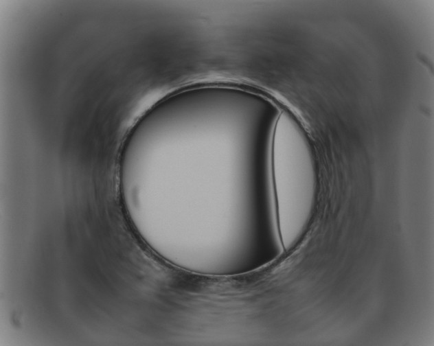 X0000092071367200709121017