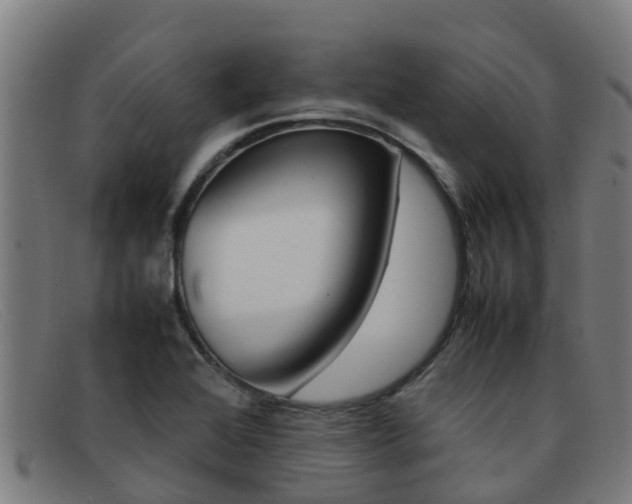 X0000092071368200709121017