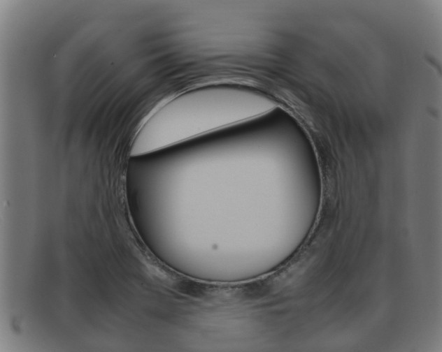 X0000092071369200709121017