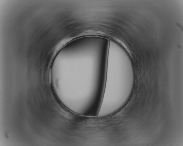X0000092071371200709121017