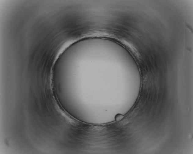 X0000092071374200709121017