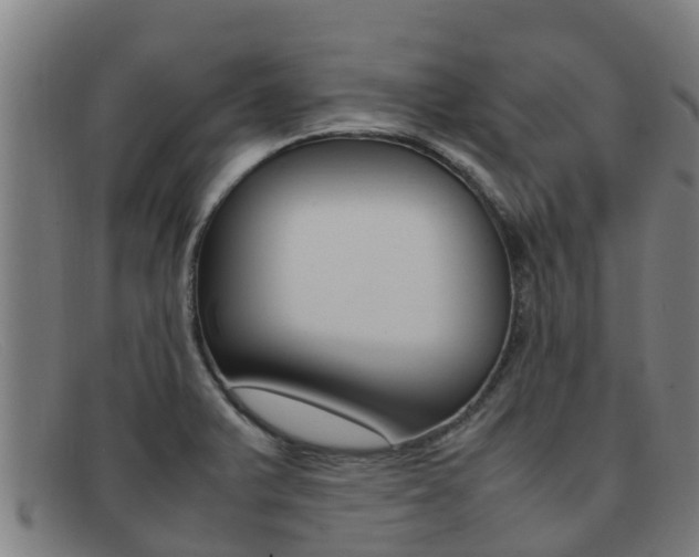 X0000092071375200709121017