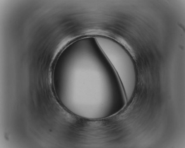 X0000092071376200709121017