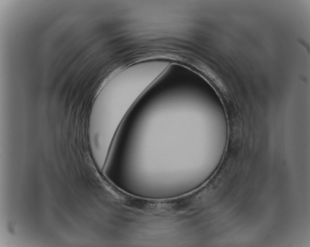 X0000092071377200709121017