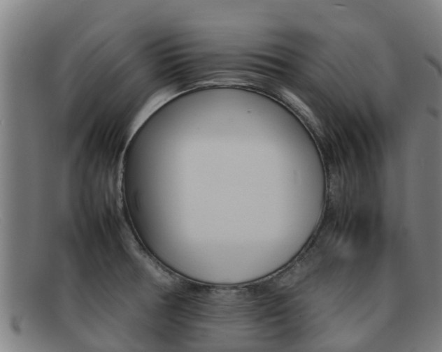 X0000092071378200709121017