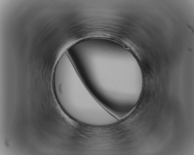 X0000092071379200709121017
