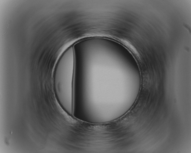X0000092071380200709121017