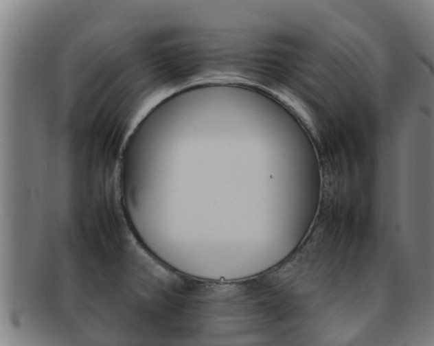 X0000092071382200709121017