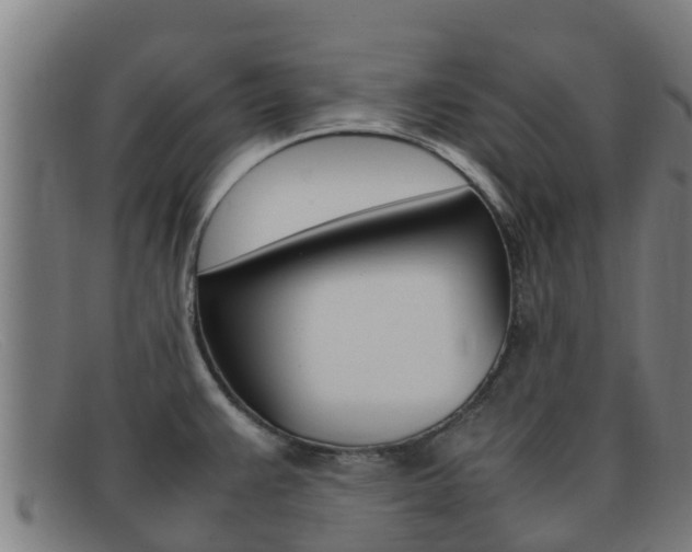 X0000092071383200709121017
