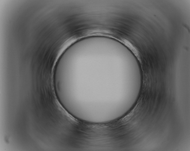 X0000092071384200709121017