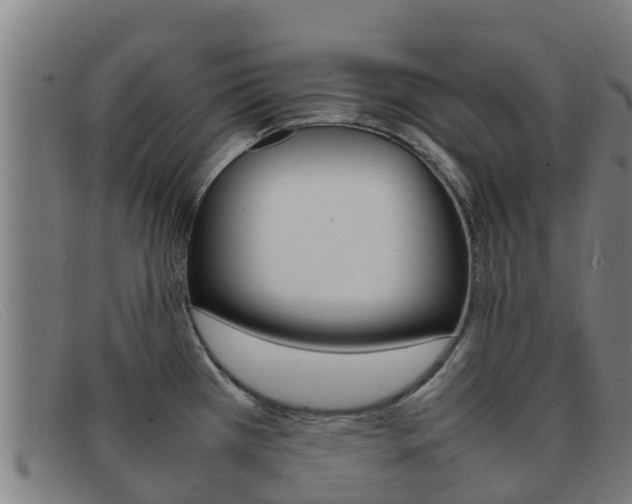 X0000092071385200709121017
