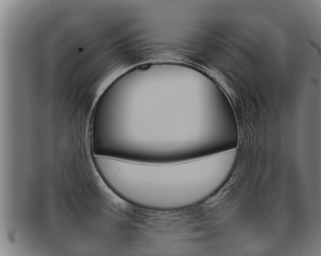 X0000092071387200709121017
