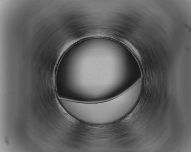 X0000092071388200709121017