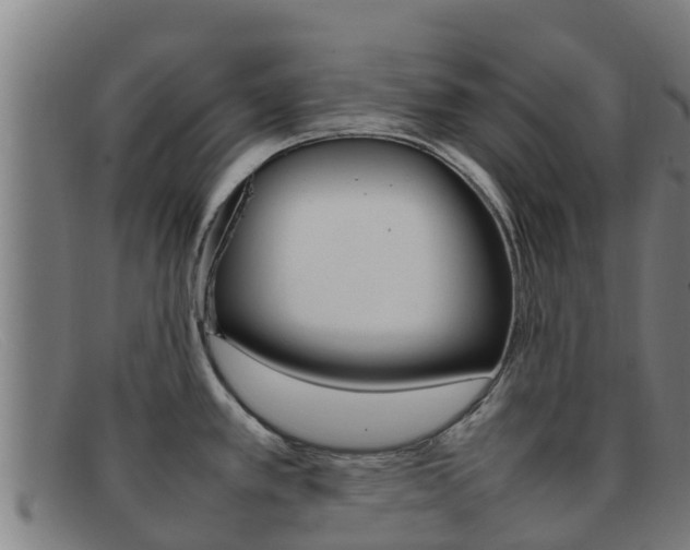 X0000092071389200709121017