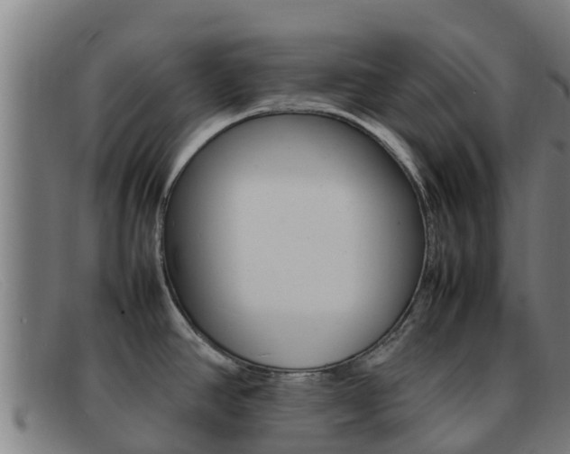 X0000092071390200709121017