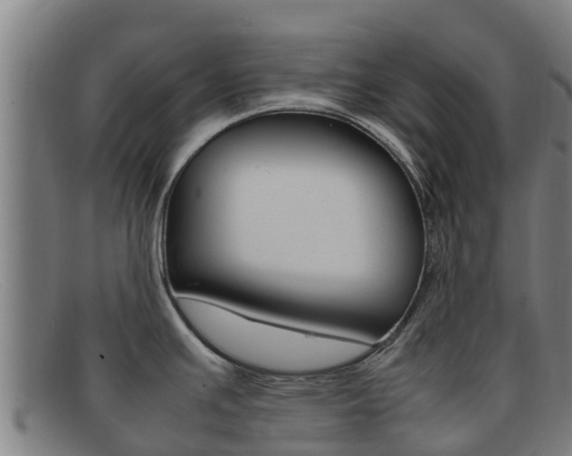 X0000092071391200709121017