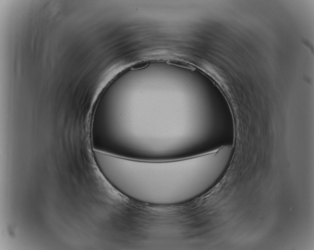 X0000092071392200709121017