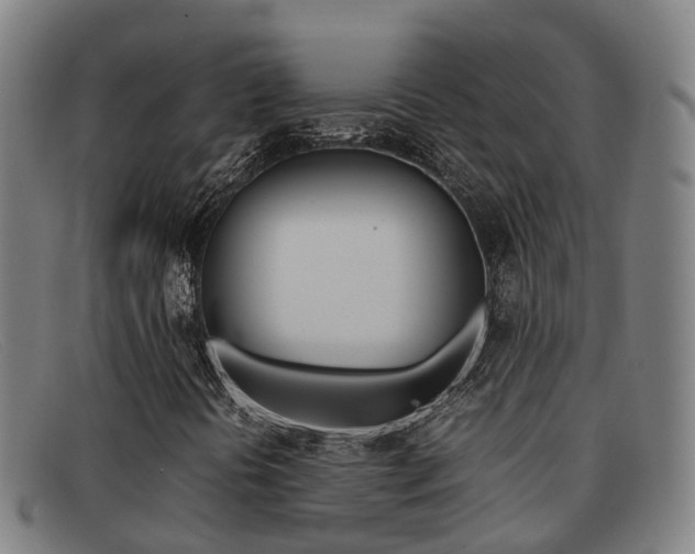 X0000092071394200709121016