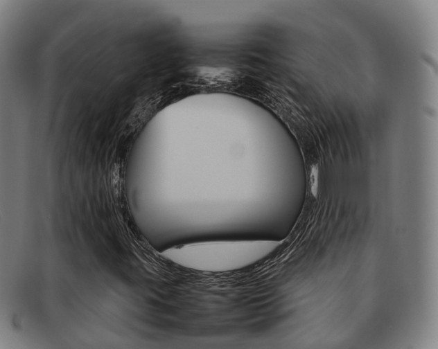 X0000092071395200709121016