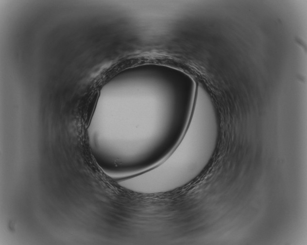 X0000092071398200709121016